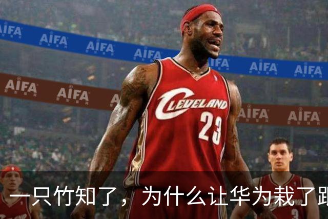 一只竹知了，为什么让华为栽了跟头？