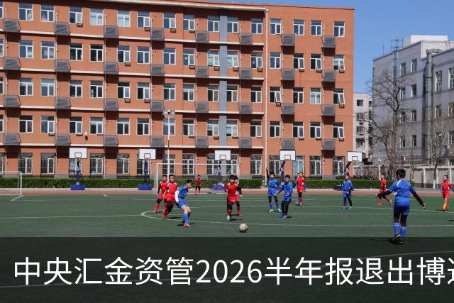 中央汇金资管2026半年报退出博迁新材前十大股东名单