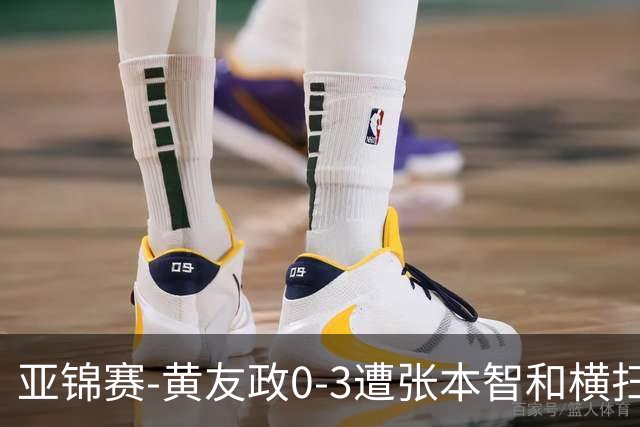 亚锦赛-黄友政0-3遭张本智和横扫 温瑞博向鹏李天阳进八强