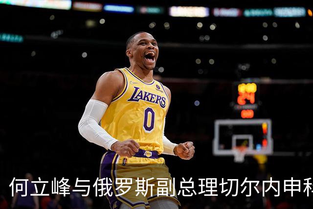 何立峰与俄罗斯副总理切尔内申科共同主持召开中俄总理定期会晤委员会第三十次会议