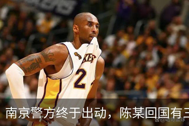 南京警方终于出动，陈某回国有三大恶果等着，查清公费谜团是重点