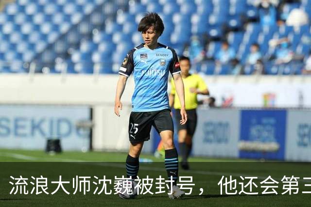 流浪大师沈巍被封号，他还会第三次复出么？